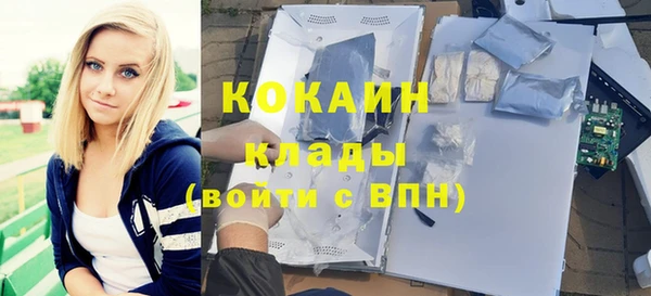 меф Арсеньев