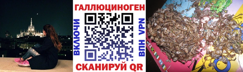 Галлюциногенные грибы мухоморы  Аткарск 